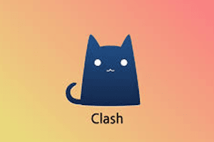 在 Linux 中使用 Clash